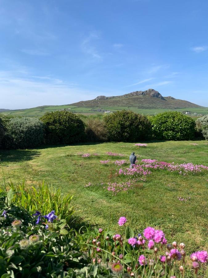 Craig-Y-Mor Suites With Sea Views Whitesands St Davids Exterior photo